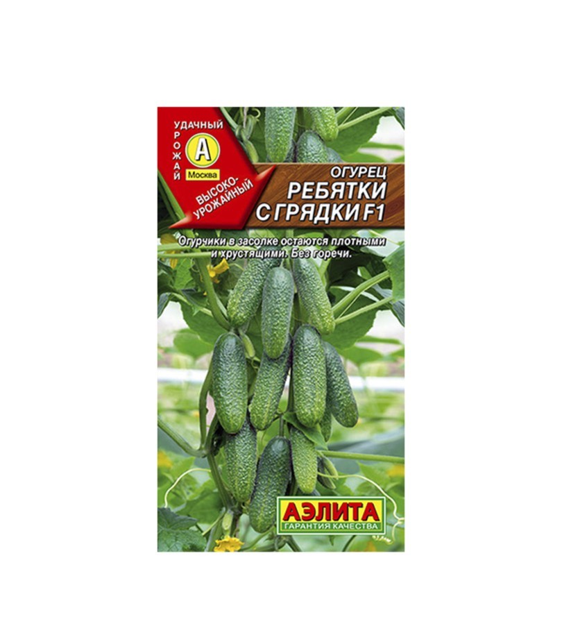 Огурцы корюшка описание и отзывы