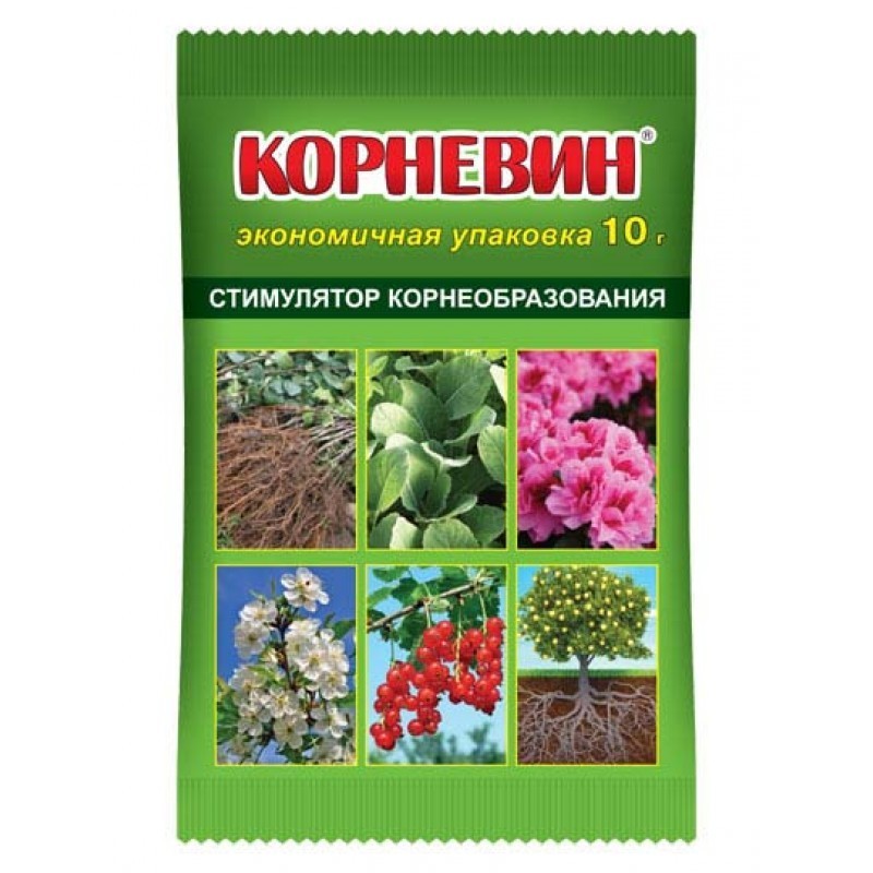 Корневин Вайлдберриз