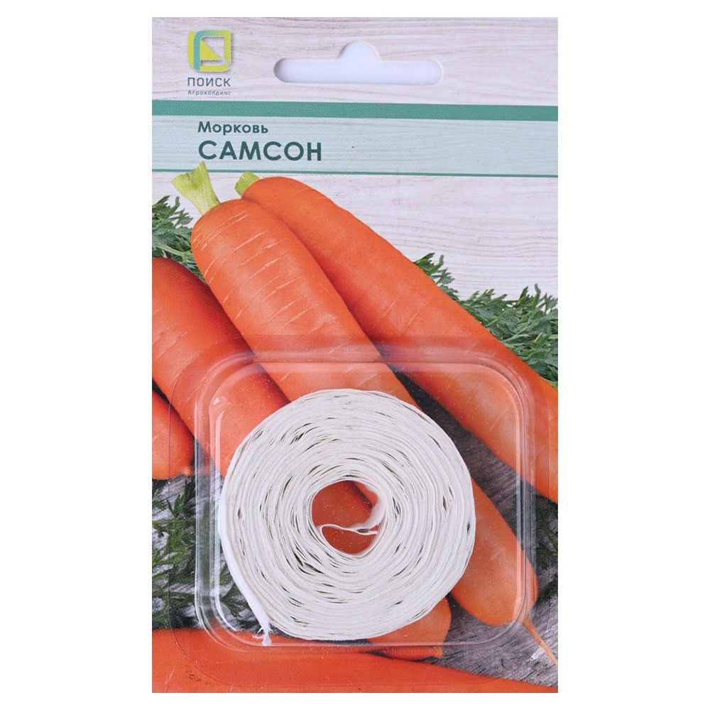 Семена моркови на ленте. Семена морковки на ленте. Морковь на ленте фото. Морковь на ленте купить