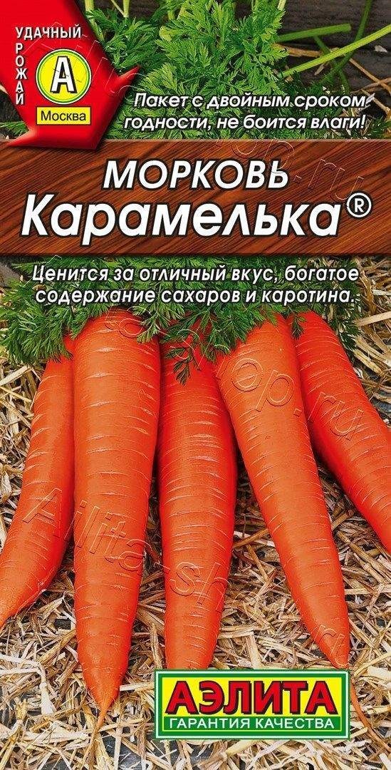 Морковь Карамелька фото.
